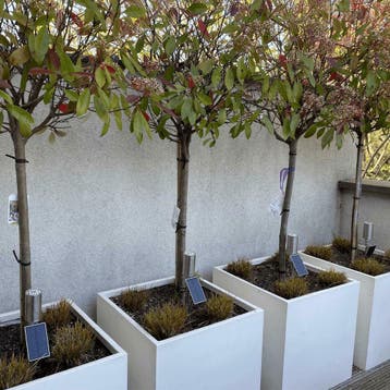 Solar tuinspots met grondspies Accent – Voordeelset van 3, Verzenden, Minder dan 50 watt, Nieuw, Rvs