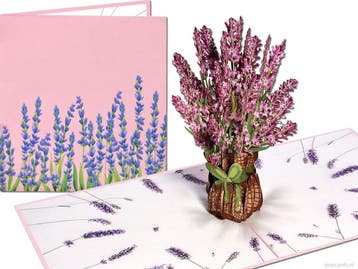 Lavendel Bloemen Frankrijk Provence Vakantie pop-up kaart..., Verzenden, Nieuw