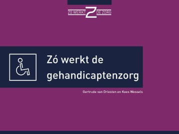 Zó werkt de gehandicaptenzorg - Gertrude van Driesten, Boeken, Verzenden, Zo goed als nieuw, Gertrude van Driesten