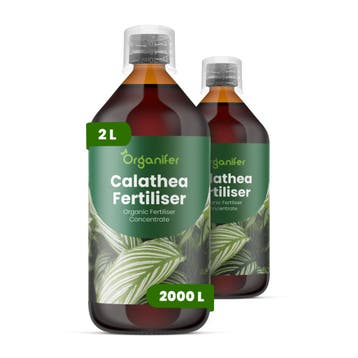 Calathea Vloeibare meststof - 2x1 liter, Verzenden, Mest
