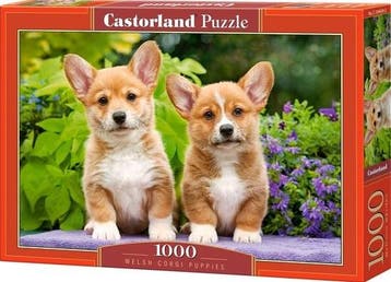 Welsh Corgi Puppies Puzzel (1000 stukjes) | Castorland -, Verzenden, Nieuw