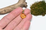 Goudgevuld Baltisch Amberhanger - met een Cecidomyiidae