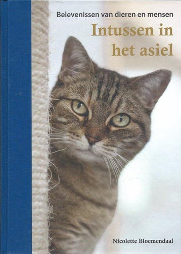 Intussen in het asiel - Nicolette Bloemendaal 9789083271613, Verzenden, Zo goed als nieuw, Nicolette Bloemendaal