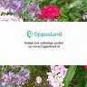 Astrid zoekt een oppas in Wassenaar., Vacatures, Goede doelen en Vrijwilligerswerk