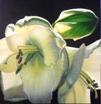 Carlo Ferrari - Studio bianco e Verde cinabro 2