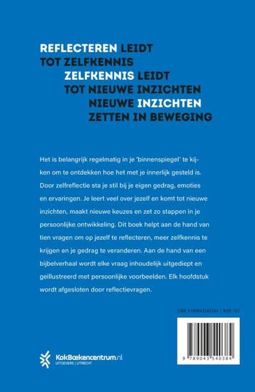 Binnenspiegel 9789043540384 Jan Pool, Boeken, Verzenden, Zo goed als nieuw, Jan Pool
