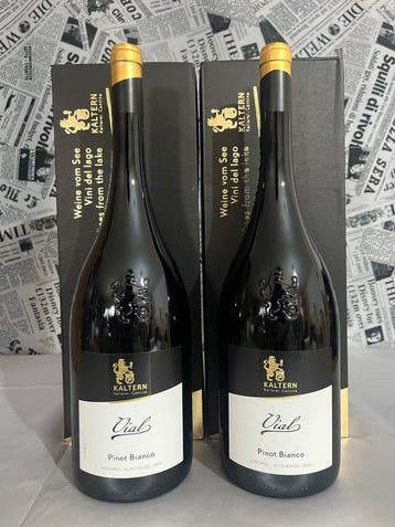2024 Kellerei Kaltern “Vial” Pinot Bianco - Trentino Alto, Nieuw