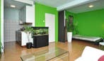 Te Huur Studio Oudezijds Voorburgwal In Amsterdam, 20 tot 35 m², Amsterdam