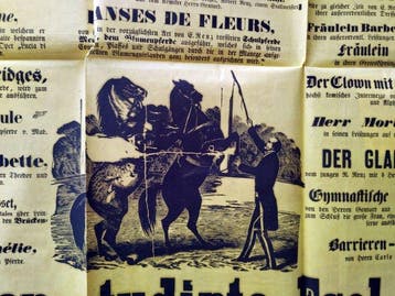 12 Amazonen und ein dressierter Esel! - 1864, Antiek en Kunst