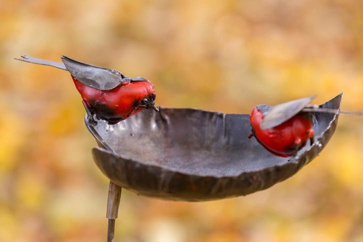 Tuinsteker drinkbak met twee roodborsten, Tuin en Terras, Tuinstekers, Nieuw, Ophalen of Verzenden