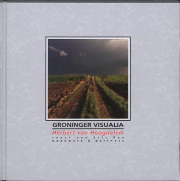 Groninger Visualia | Eric Bos | Nieuw, Ophalen of Verzenden, Nieuw, Eric Bos
