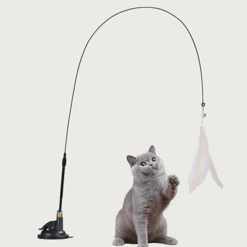 Interactieve Kattenhengel met Zuignap en Veer - Eindeloos Sp, Verzenden, Nieuw