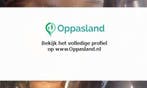 Ik ben Sheray, 17 jaar oud en ik zoek oppaswerk in Eindho...