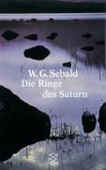 Die Ringe DES Saturn - W G Sebald 9783596136551, Verzenden, Gelezen, W G Sebald