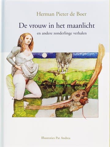 De vrouw in het maanlicht - H.P. de Boer 9789066570030, Verzenden, Zo goed als nieuw, H.P. de Boer