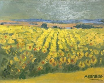 Micaela Carazo (1927) - Sunflower Fields in Spain