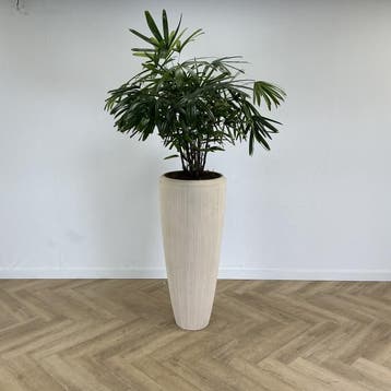 kamerplant met kunststof creme witte pot - Gratis Bezorging, Ophalen of Verzenden, Gebruikt, Bureau