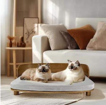 Verhoogd Houten Kattenbed – Comfortabel Huisdierbed met Kuss, Verzenden, Nieuw