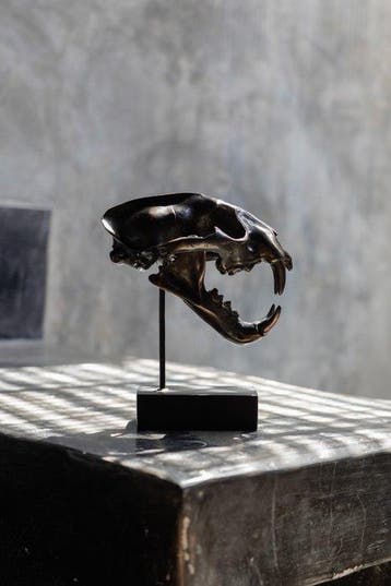 sculptuur, NO RESERVE PRICE - bronze Snow Leopard - 19.5 cm, Antiek en Kunst