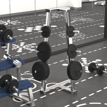 vidaXL Halterschijf 20 kg gietijzer, Verzenden, Nieuw
