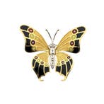 Bicolor gouden broche/hanger van een vlinder met emaille..., Ophalen of Verzenden, Gebruikt, Goud, Overige merken