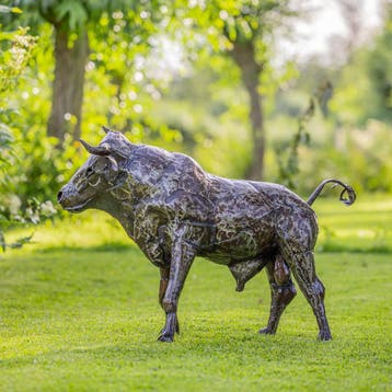 Stier van metaal, Ophalen of Verzenden