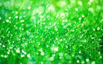 Kunstmest Paardenweide Fertigrow Horse € 35.00, Ophalen, Nieuw