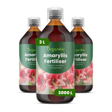 Amaryllis vloeibare meststof - Set van 3 x 1 liter, Verzenden, Mest