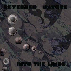 LP gebruikt - Reversed Nature - Into The Limbo, Verzenden, Zo goed als nieuw, Overige formaten