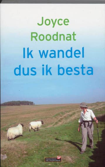 Ik wandel dus ik besta - Joyce Roodnat 9789044612363, Boeken, Verzenden, Zo goed als nieuw, Joyce Roodnat