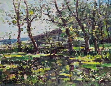 Josep Damián Torres (1921–2008) - El corazón verde