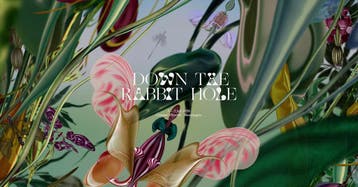 Down The Rabbit Hole 2026