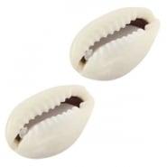 4 x Schelp kralen Kauri Ivoor-grijs  ca. 17x10mm, Ophalen of Verzenden, Nieuw, Kraal