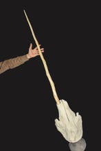 Narwhal Schedel - REPLICA Monodon monoceros - Museum Grade, Antiek en Kunst