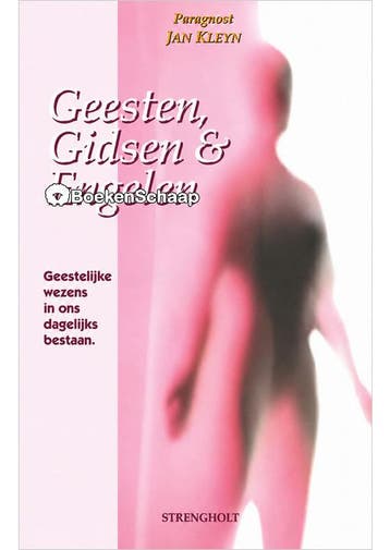 Geesten Gidsen en Engelen Jan Kleyn, Verzenden, Gelezen