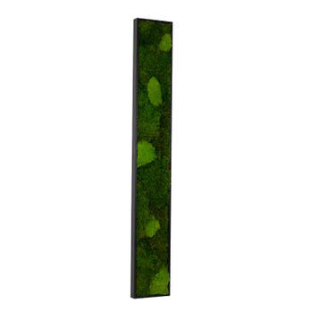Vintlux Mosschilderij 15x120 cm Zwart - Holstebro, Huis en Inrichting, Woonaccessoires | Wanddecoraties, Nieuw