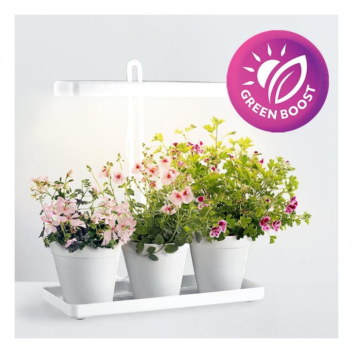 Mini  binnentuin / kweekset /moestuin met LED groeilamp 20, Huis en Inrichting, Lampen | Overige, Nieuw, Ophalen of Verzenden