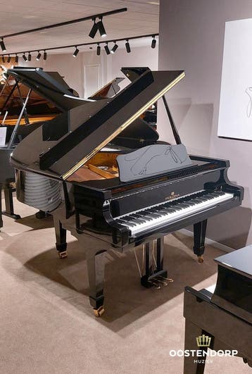 Actie -20% Perzina GBT-152 PE messing vleugel, Muziek en Instrumenten, Nieuw, Zwart, Vleugel
