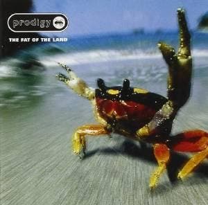 cd - The Prodigy - The Fat of the Land, Verzenden, Zo goed als nieuw