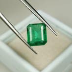 1 pcs Groen Smaragd - 2.17 ct - International Gemological, Nieuw