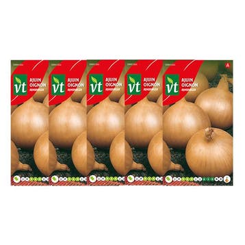 Uienzaad | VT | 5 stuks (Witte ui), Verzenden