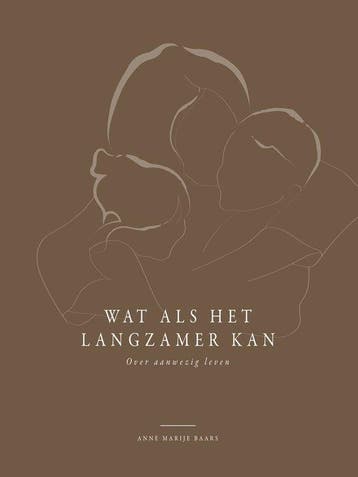 Wat als het langzamer kan - Anne Marije Baars - 978949283181, Verzenden, Nieuw