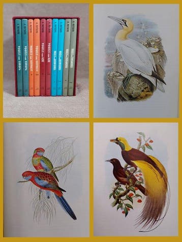 John Gould/A. Rutgers - Het Vogelparadijs in Kleuren, Antiek en Kunst