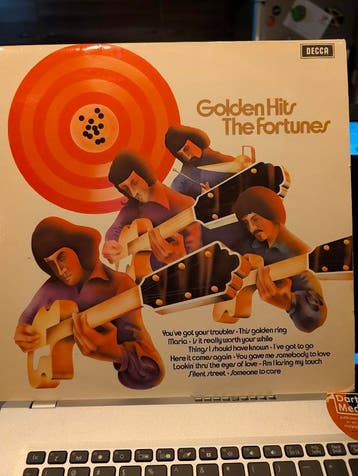 The Fortunes - Golden Hits, Cd's en Dvd's, Complilatie, Ophalen of Verzenden, Gebruikt