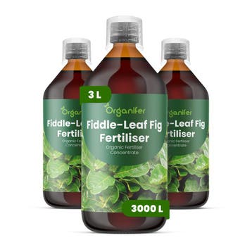 Vioolbladplant Vloeibare meststof - 3x1 liter, Verzenden, Mest