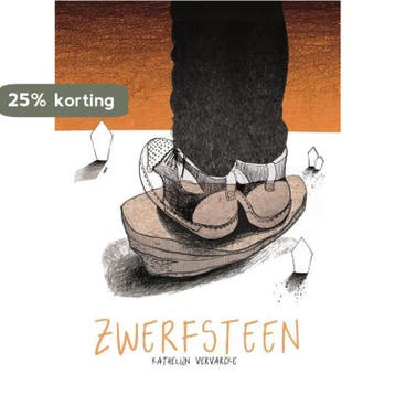 Zwerfsteen - Vervarcke Kathelijn 9789462345317, Verzenden, Zo goed als nieuw, Vervarcke Kathelijn