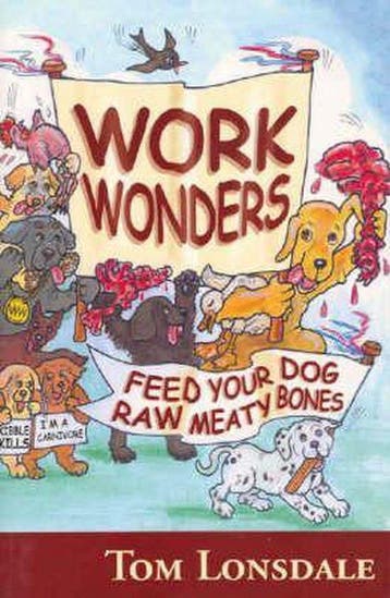 Work Wonders 9780975717400 Tom Lonsdale, Boeken, Verzenden, Gelezen, Tom Lonsdale