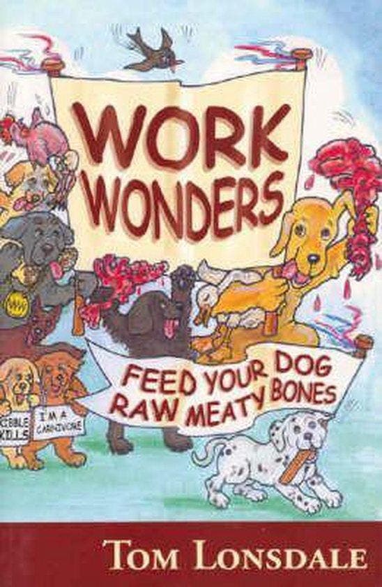 Work Wonders 9780975717400 Tom Lonsdale, Boeken, Taal | Engels, Gelezen, Verzenden
