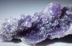 Grape Agate van hoge kwaliteit!! AAA Geen reserveprijs- 47 g
