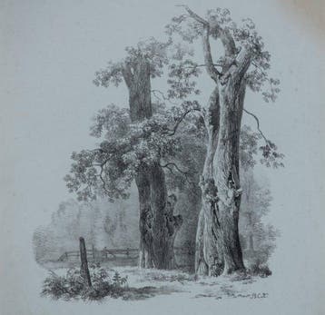 Barend Cornelis Koekkoek (1803-1862) - Bosthema Studiereis
